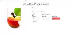 All in One Product Zoom